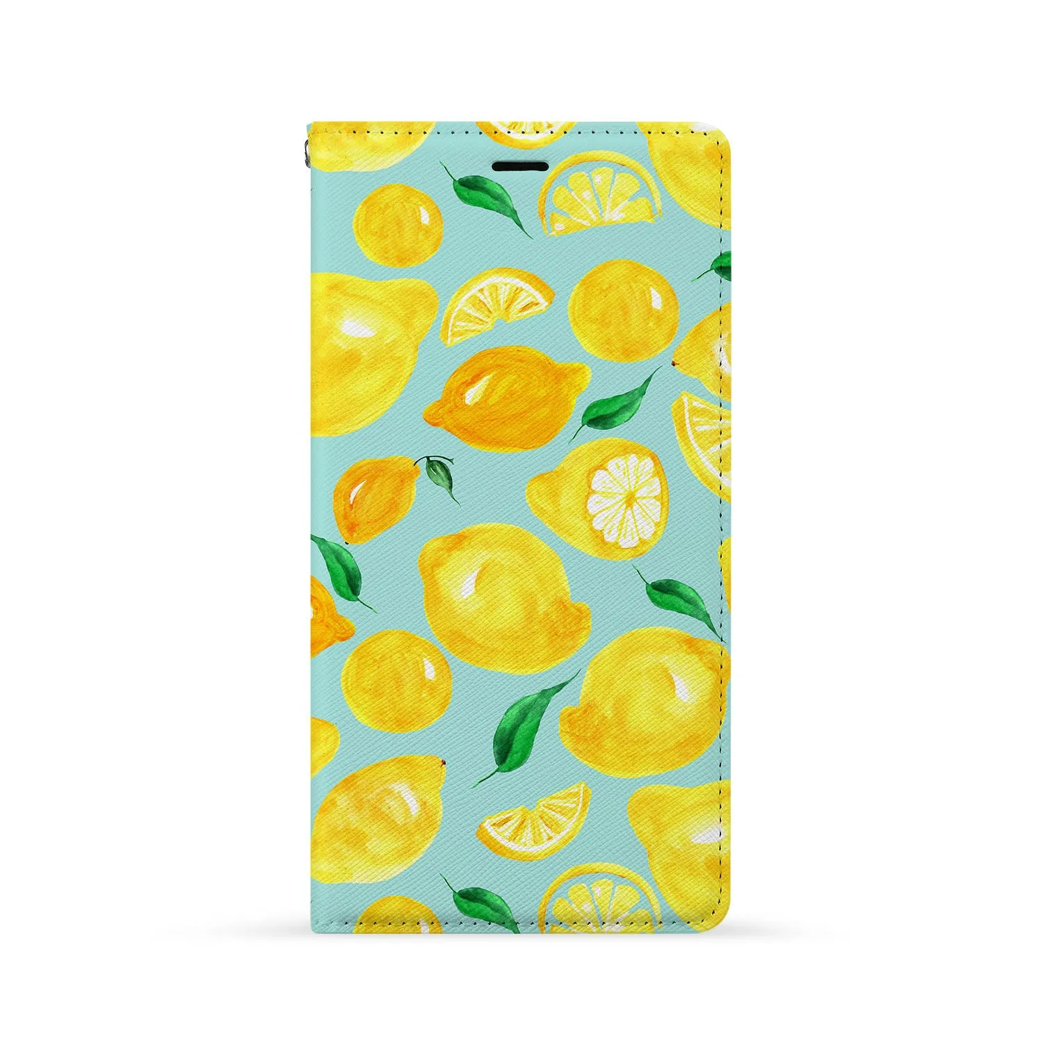 iPhone Wallet - Fruit Ninja