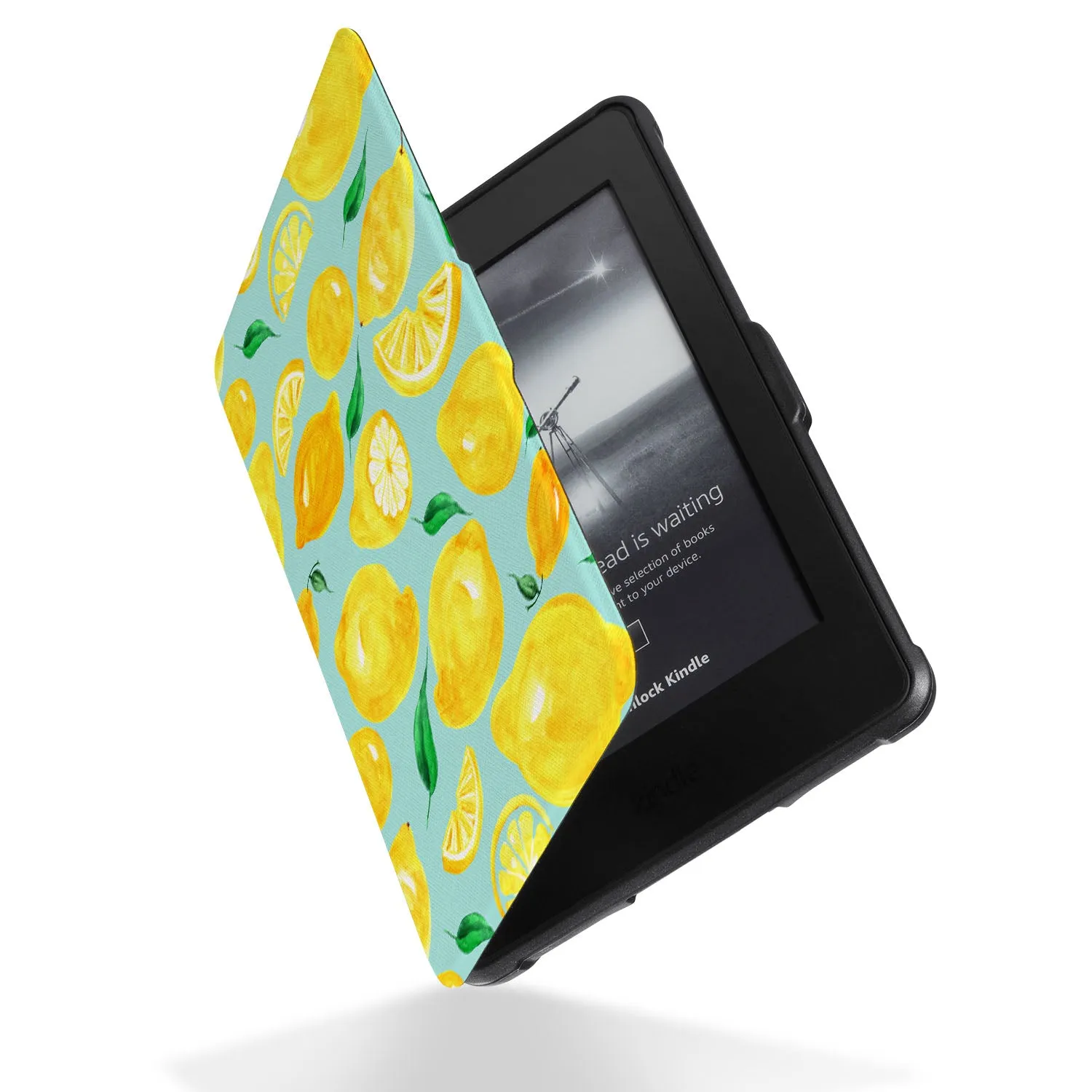 Kindle Case - Fruit