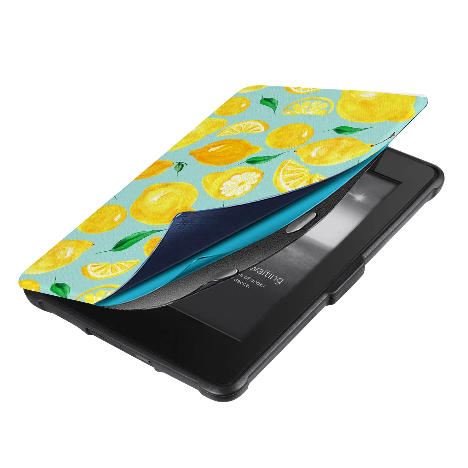 Kindle Case - Fruit